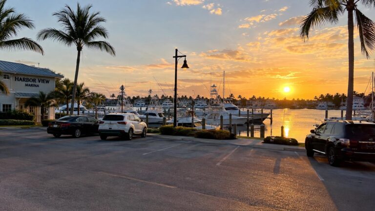 Parking and Getting to Your Waikiki Cruise